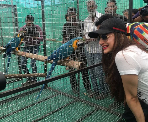 ameesha patel